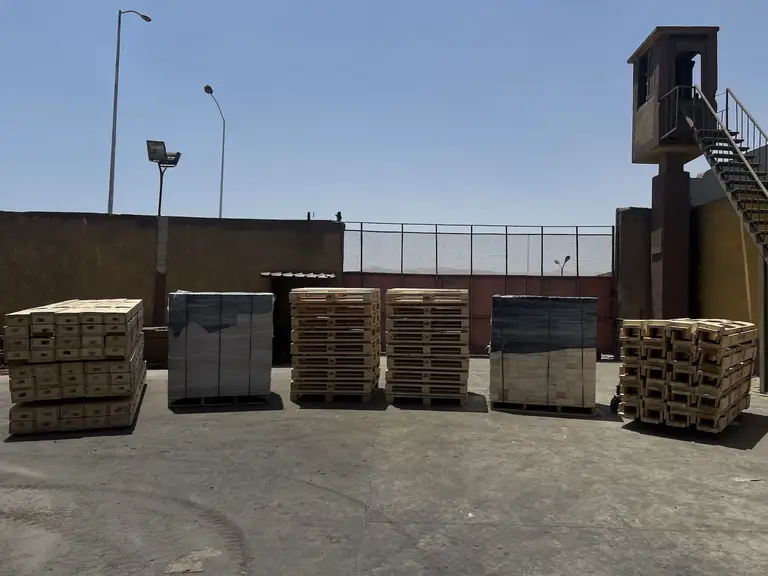 Automated pallet assembly line at EL-Saady Company Egypt