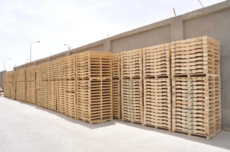 EL-Saady wooden pallet factory Suez Egypt