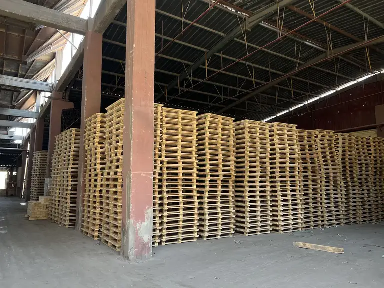 Quality control of wooden pallets at EL-Saady