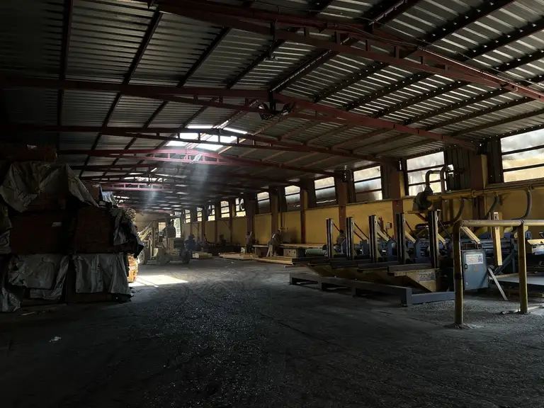 Automated pallet assembly at EL-Saady Suez Egypt